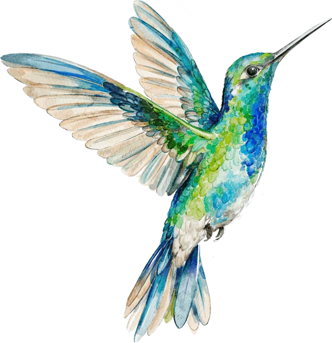 Colibrí en acuarela